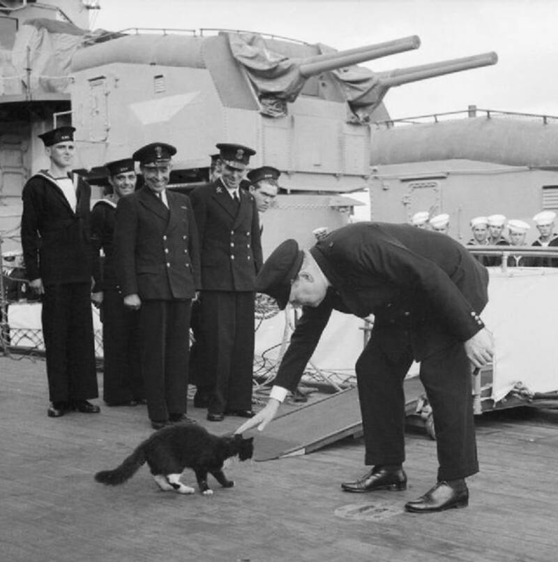 Kucing Simon HMS Amethyst pahlawan hewan penerima Dickin Medal duduk di dek kapal perang Royal Navy.