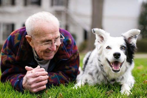 Melampaui Batas Logika: Kisah Nyata Hubungan Luar Biasa Profesor John Pilley dan Chaser si Anjing Pintar
