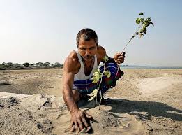 jadav payeng sedang menanam benih pohon