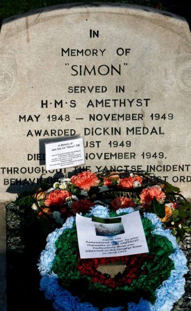 makam simon the cat