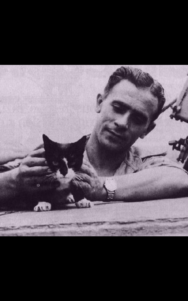 Kucing Simon HMS Amethyst tiba di pelabuhan Hong Kong setelah selamat dari Insiden Sungai Yangtze 1949.