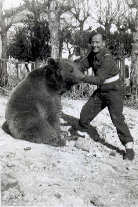 Beruang sejarah Wojtek sedang duduk bersama seorang tentara berseragam.